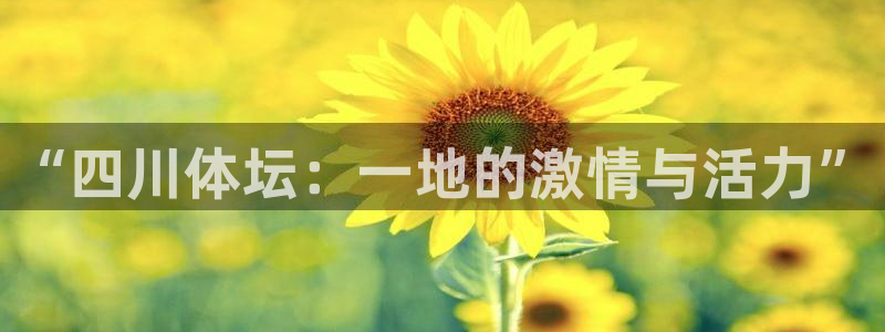 风速体育官网