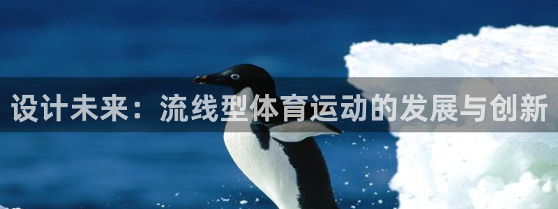 风速体育nba免费直播