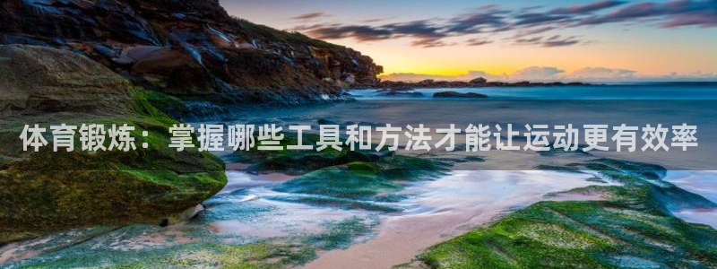 风速体育官网