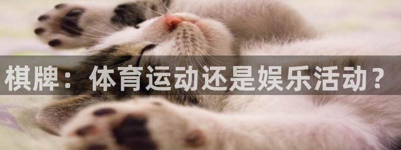 风速体育直播：棋牌：体育运动还是娱乐活动？