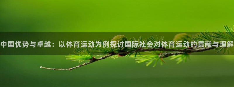 风速体育直播app：中国优势与卓越：以体育运动为例探讨国际社会对体育运动的贡献与理解