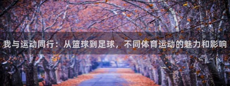 风速体育直播：我与运动同行：从篮球到足球，不同体育运动的魅力和影响