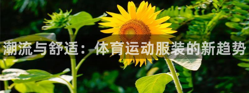 风速体育app官方下载