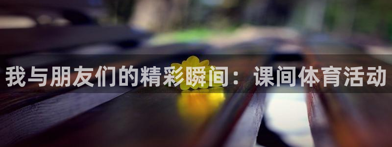 下载风速体育：我与朋友们的精彩瞬间：课间体育活动