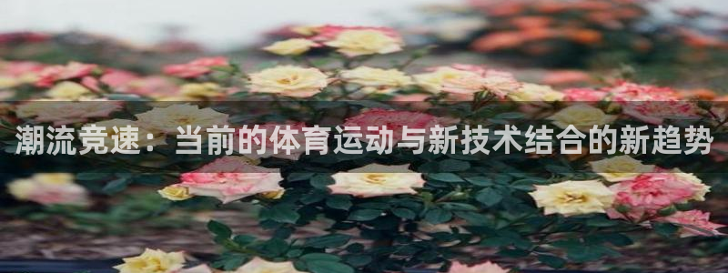 风速体育：潮流竞速：当前的体育运动与新技术结合的新趋势