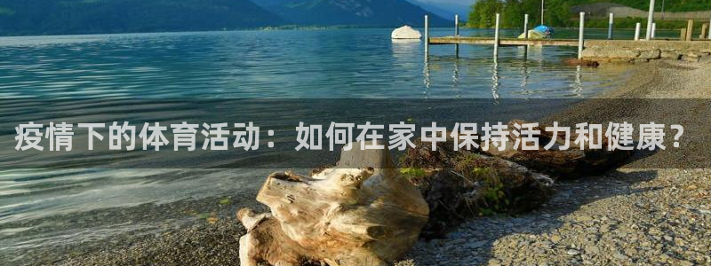 风速体育官网