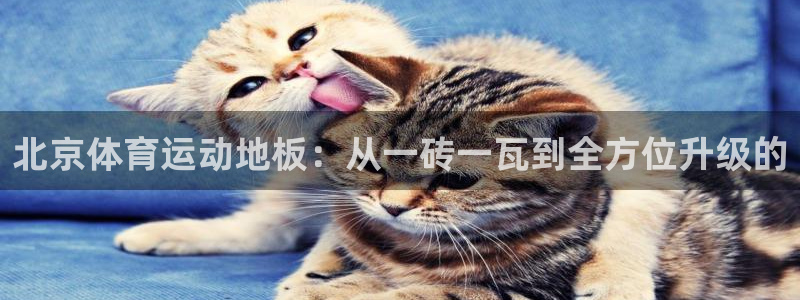 风速体育app下载官网最新版：北京体育运动地板：从一砖一瓦到全方位升级的